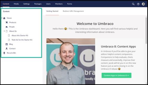 盘点10个热门.NET开源CMS项目，助力网站建设