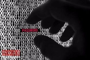 如何构建CMS系统 从零开始的完整指南