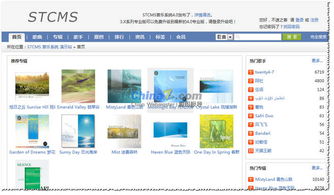 音乐类CMS应更注重用户分享与互动 以STCMS为例
